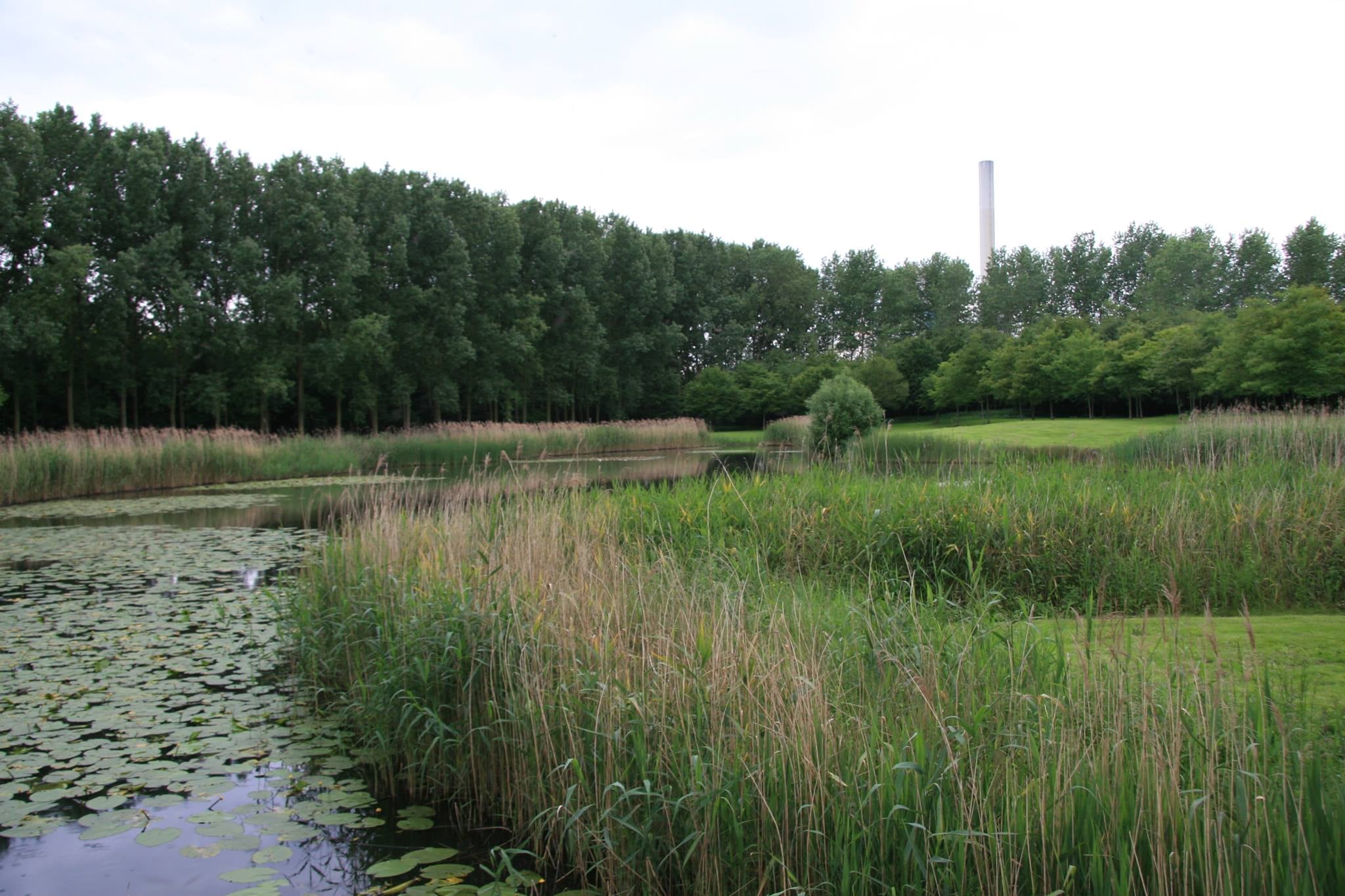 wandelen Liedermeerspark vijver