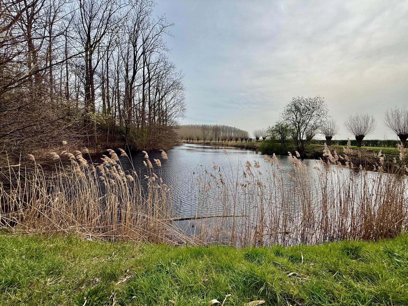 Hulst Moerschans