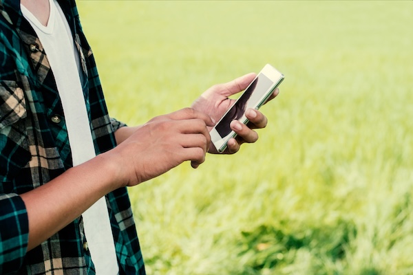 Person using a smartphone while standing in a sunlit grassy yard