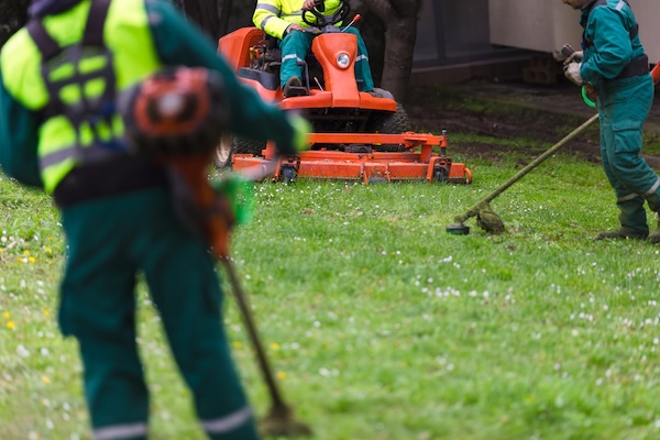 Workers in green uniforms using lawn trimmers and riding a lawn mower on grass.