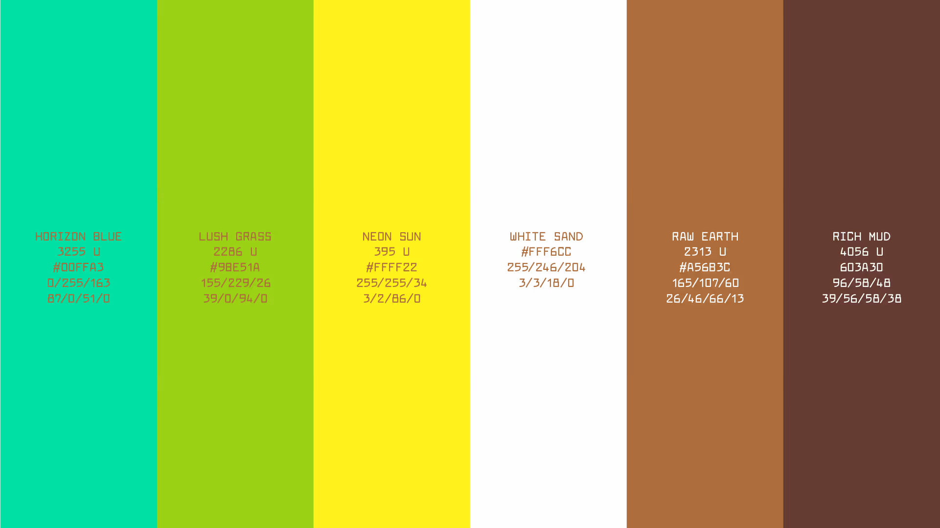 Perler's palette. The colors are named horizon blue, lush grass, neon sun, white sand, raw earth, and rich mud. Each color is labeled with a PMS value, HEX code, CMYK value, and RGB value.