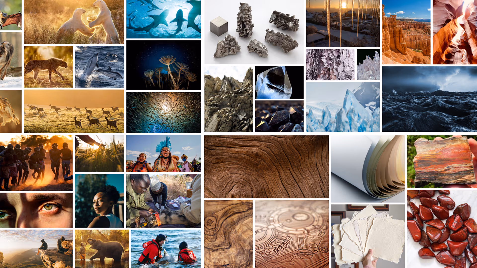 A collaged moodboard of Defenders.