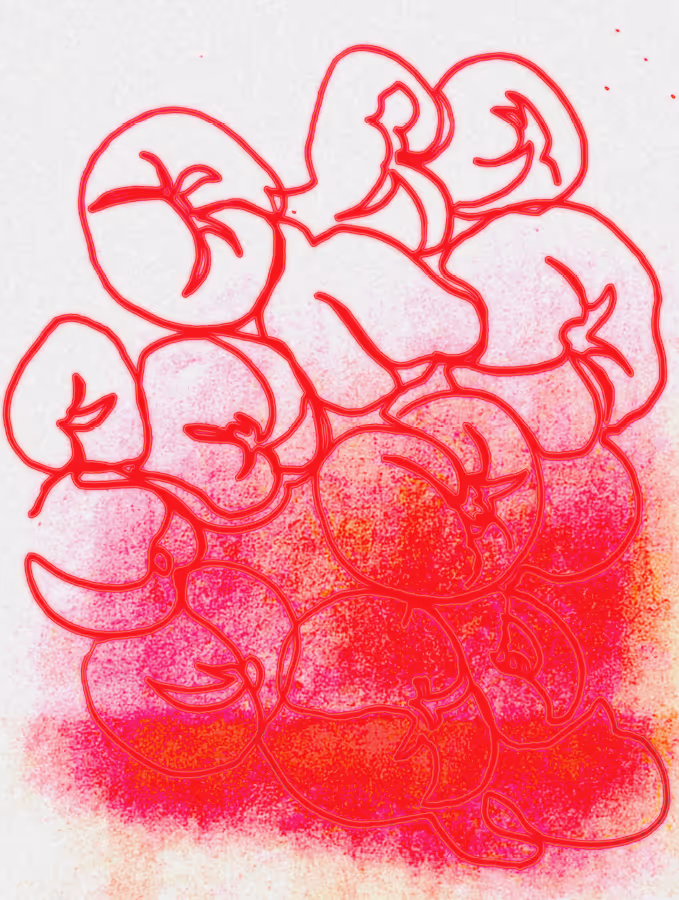 A riso-printed line contour drawing of red tomatoes.