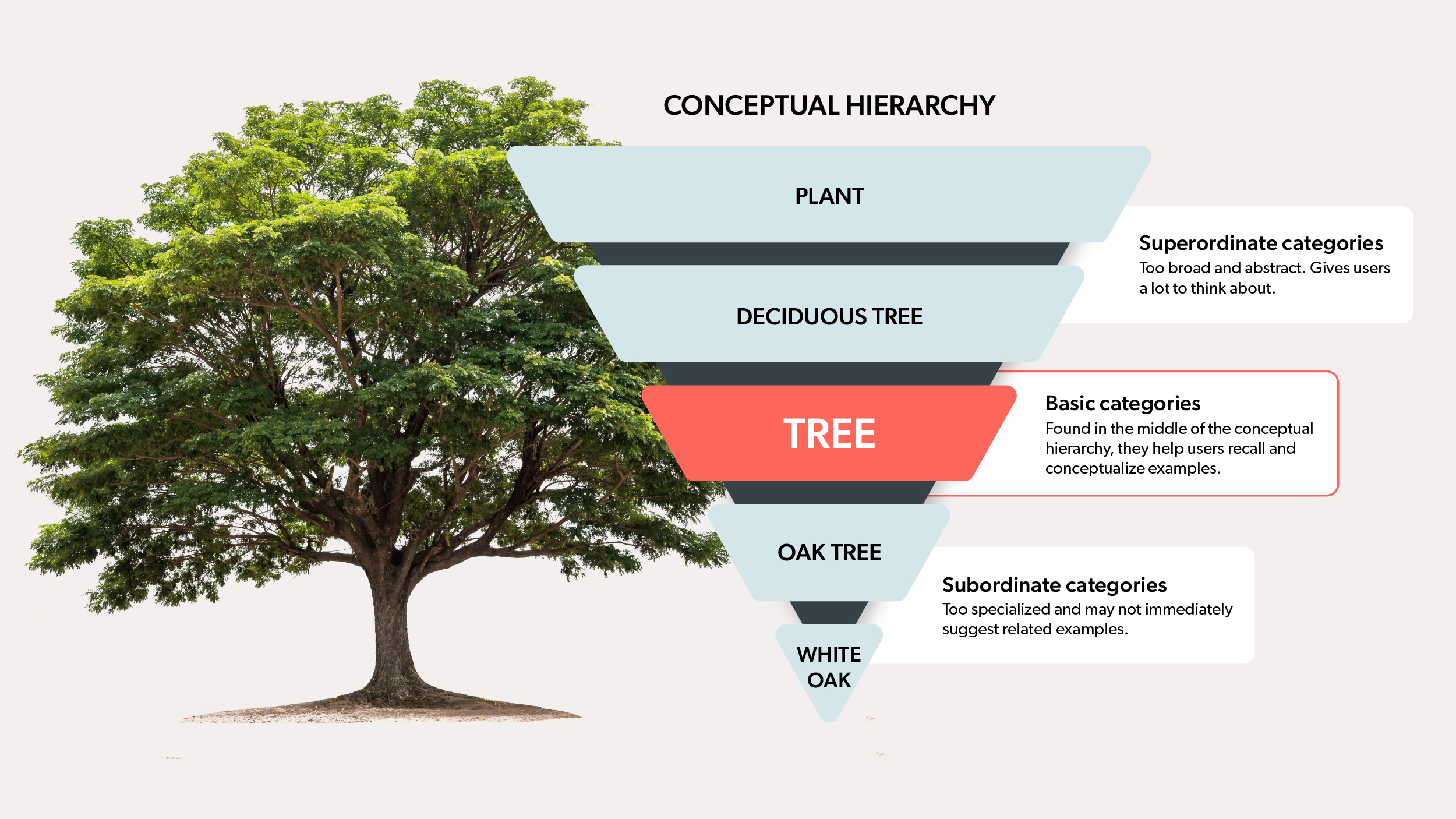 Tree Conceptual Inline image 1