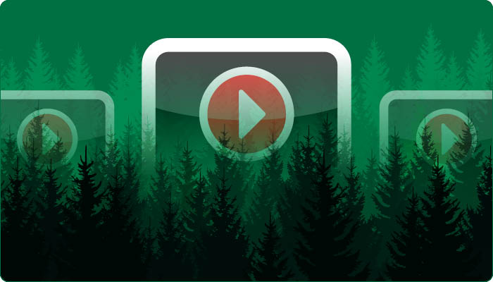 "Illustration of a dark green forest with silhouettes of tall trees in the foreground. Overlaid on top are semi-transparent video play icons with red play buttons, blending with the forest background."