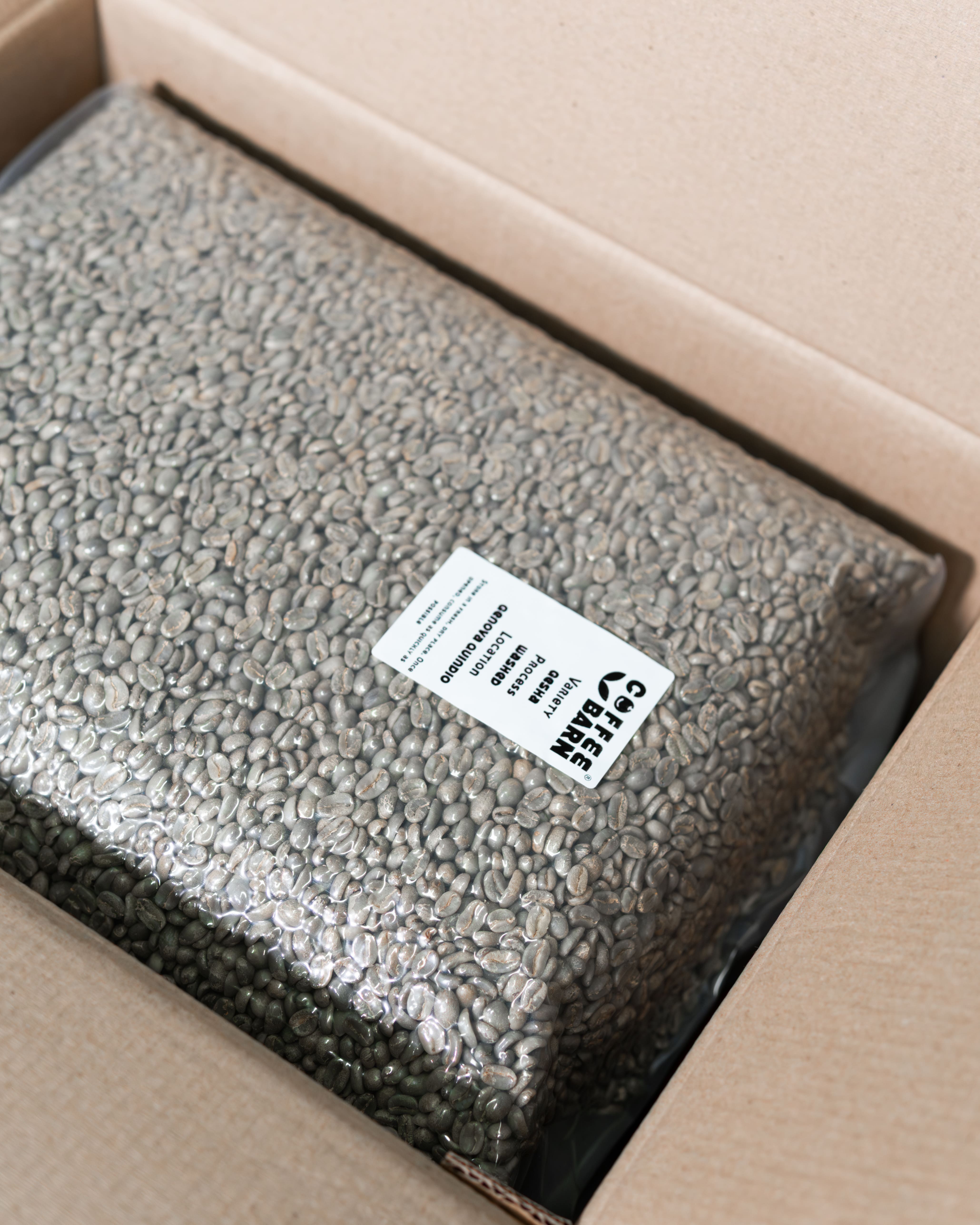 Washed Pink Bourbon Genova Quindio