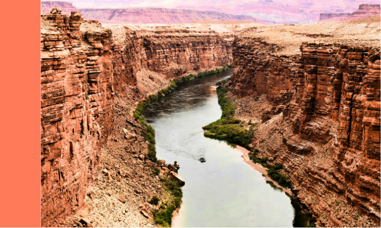 Affordable Digital Marketing Services for Small Businesses