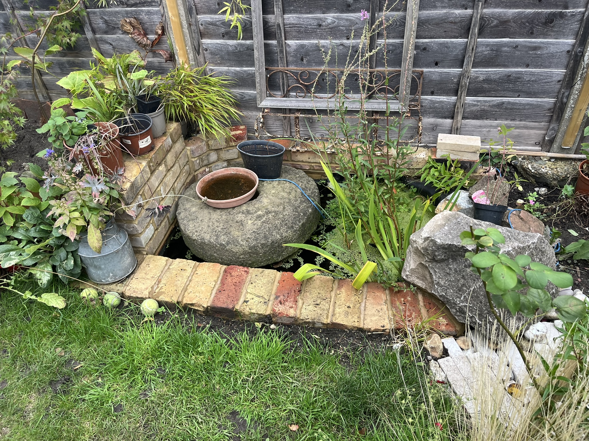 Small garden pond bordered by bricks and stones, surrounded by various potted plants and greenery with a wooden fence background.