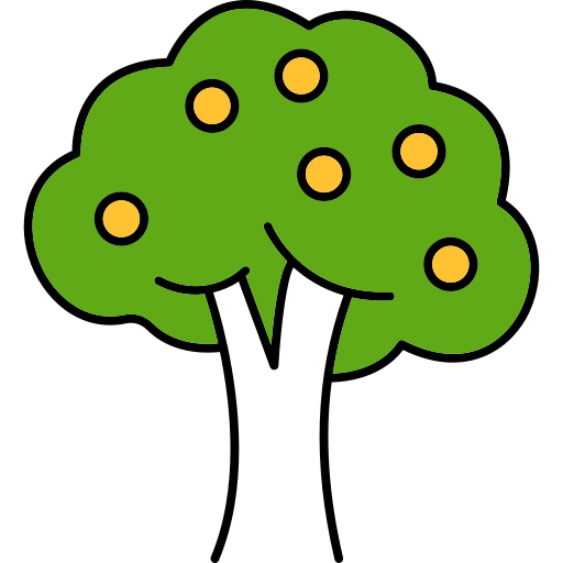 Illustration of a green tree with seven orange fruits on its branches.