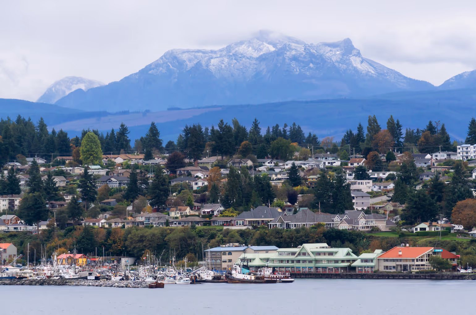 Coastal town with houses and boats in a marina, with snow-capped mountains in the background under a cloudy sky.