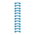 Vertical blue DNA helix illustration on a white background.
