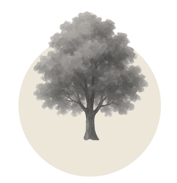 Testimonial V1 Author Img