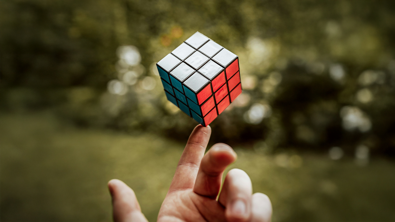 Finding Balance: Lessons from Nature’s Feedback Loops