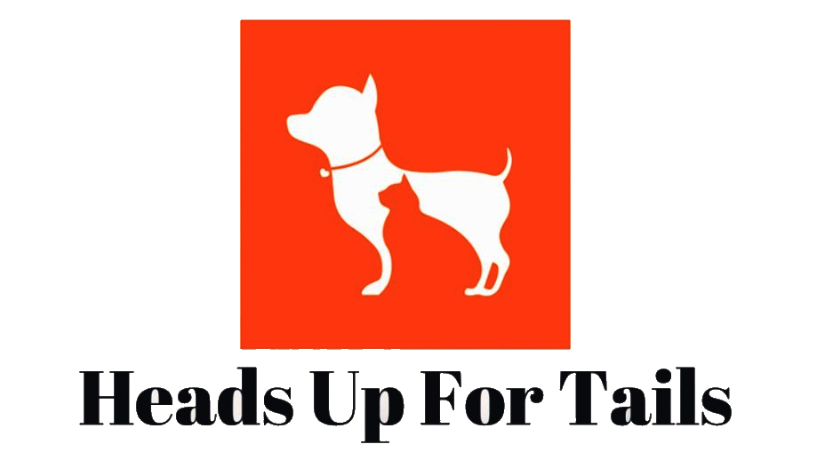 Heads Up For Tails