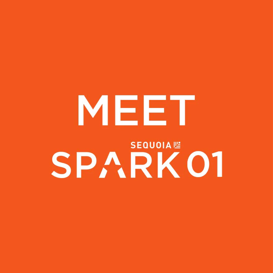 Meet the first cohort of the Sequoia Spark Fellowship for female founders Sequoia Spark