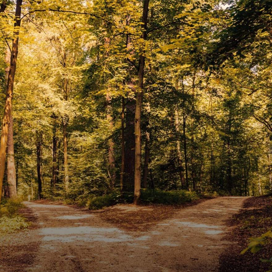 A fork in the road...
