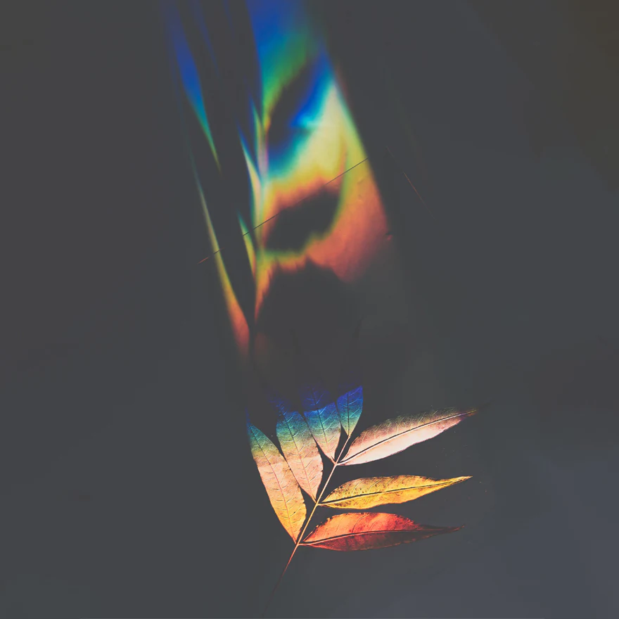 The Beauty in Imperfection