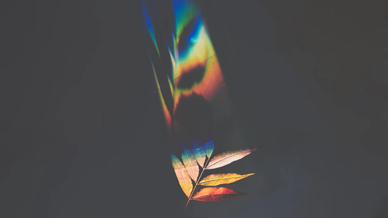 The Beauty in Imperfection