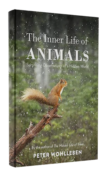 The Inner Life of Animals: Surprising Observations of a Hidden World by Peter Wohlleben
