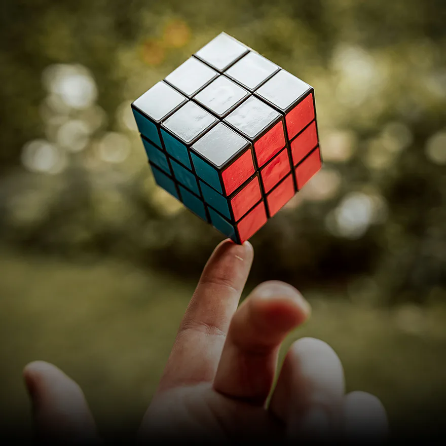 Finding Balance: Lessons from Nature’s Feedback Loops