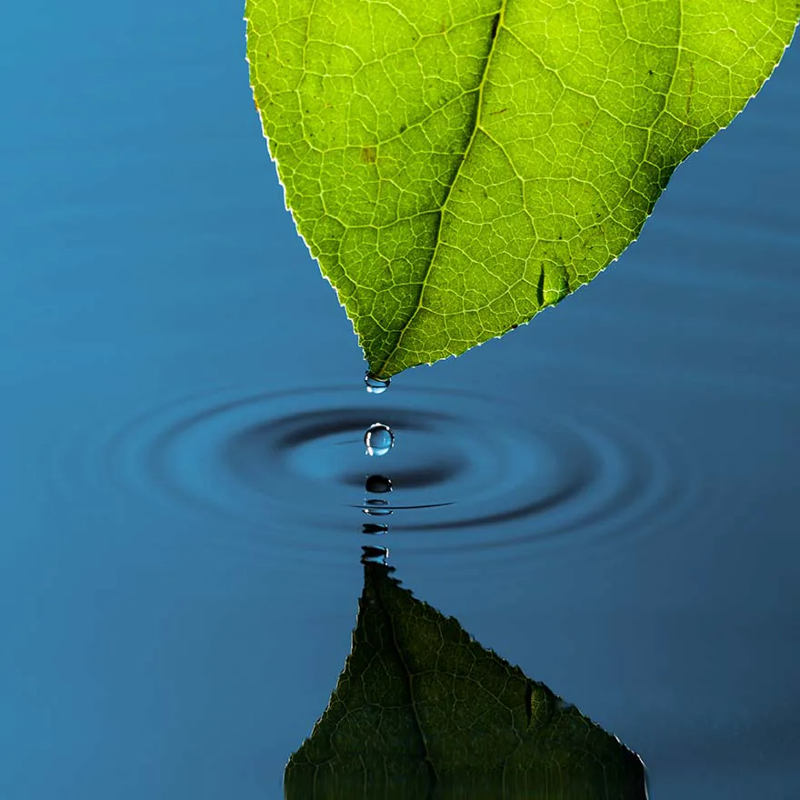 How to grow your Serendipity sphere