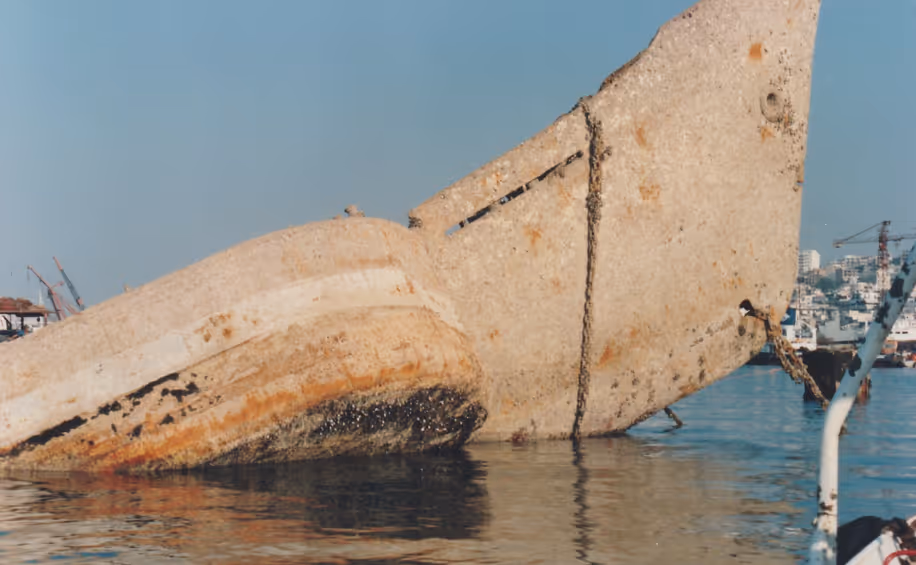 Wreck removal of "San Giorgio Reefer"