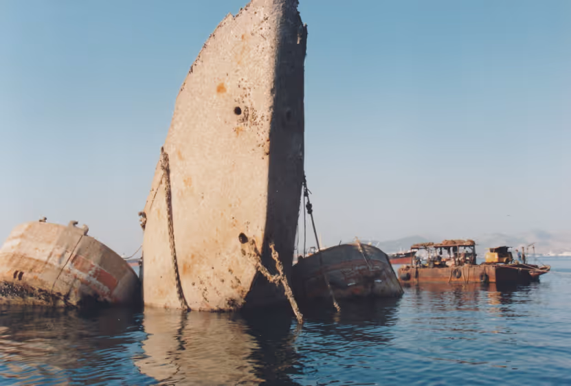 Wreck removal of "San Giorgio Reefer"