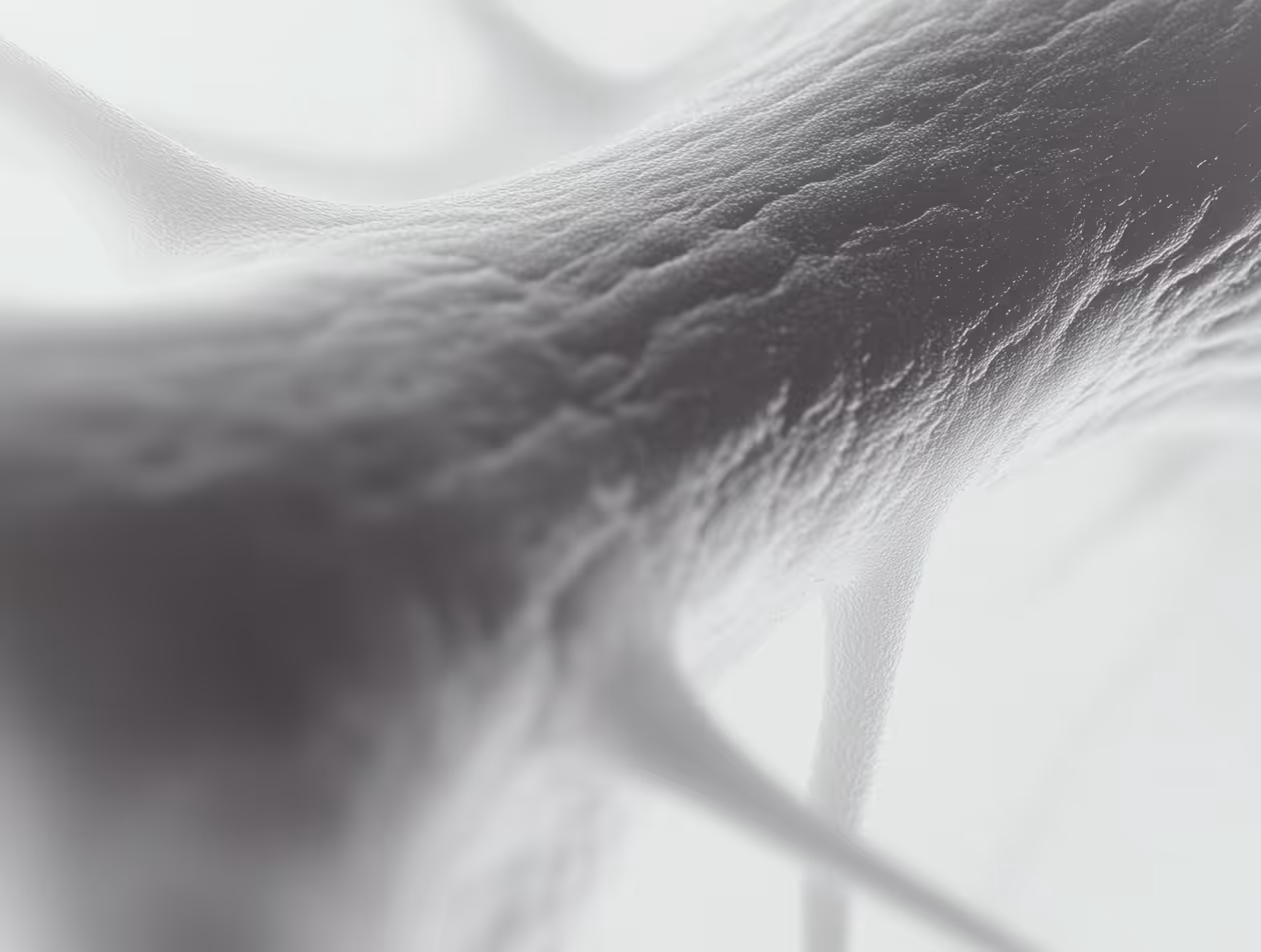 Close-up grayscale image of a neuron with textured surface and extending dendrites.
