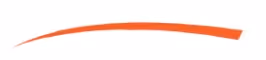 Curved orange brushstroke on a white background.