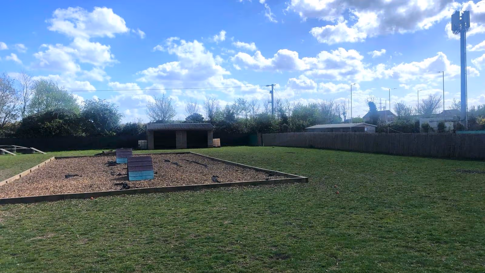Open grassy field with a fenced mulch area containing wooden dog agility ramps and a small shed in the background under a partly cloudy blue sky.