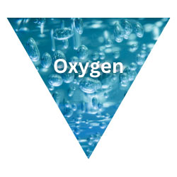 atex certification logo