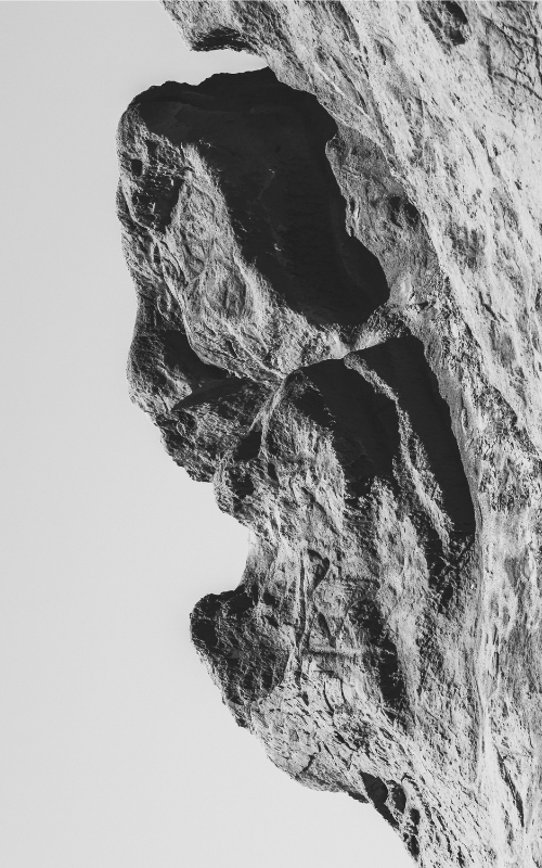 Competitive analysis using generative AI search data