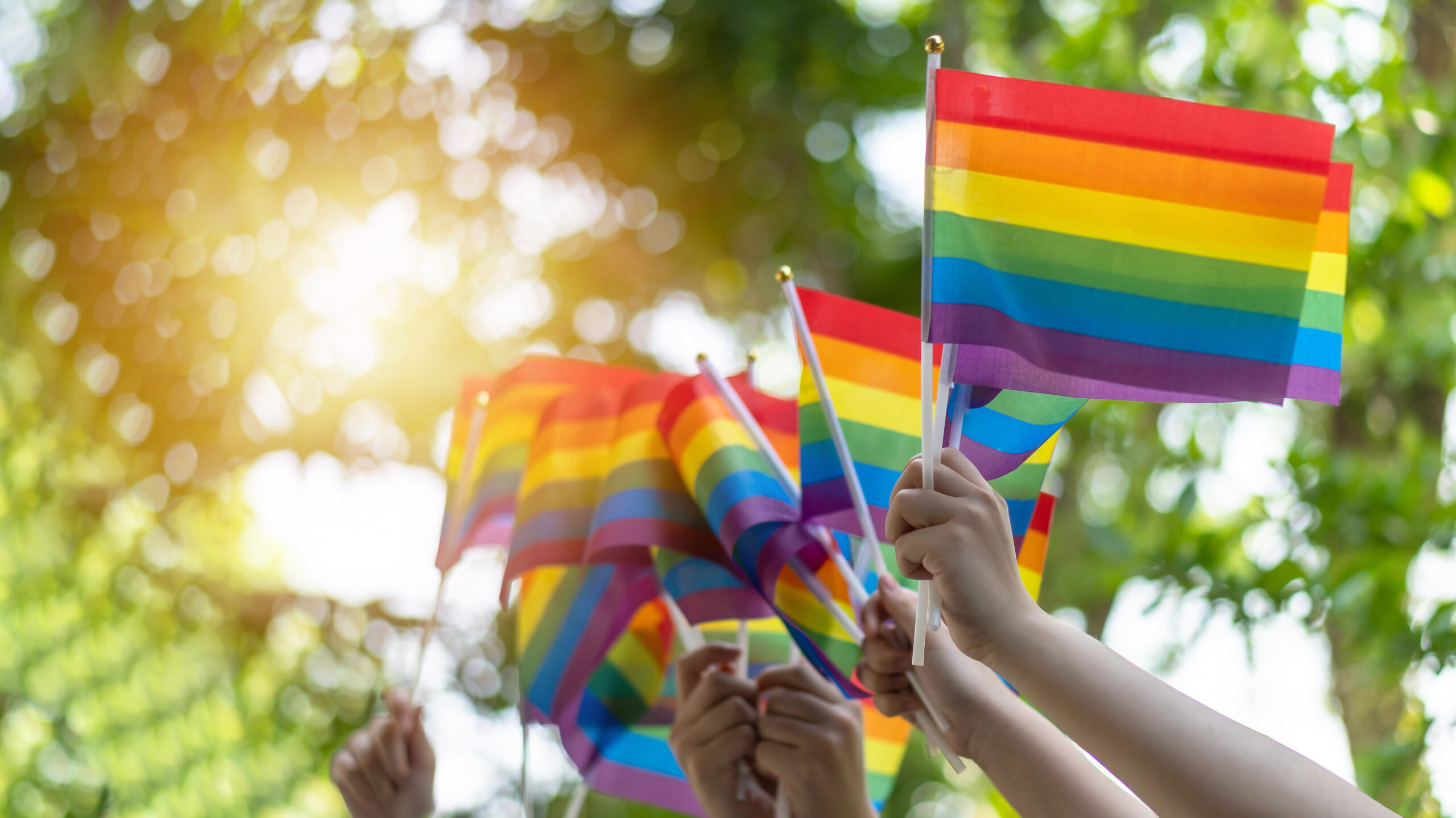 LGBTQ+ Estate Planning