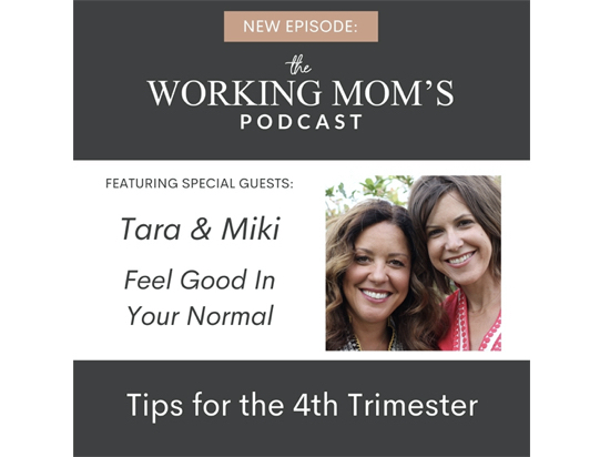 Episode 0013 Tips for The Fourth Trimester