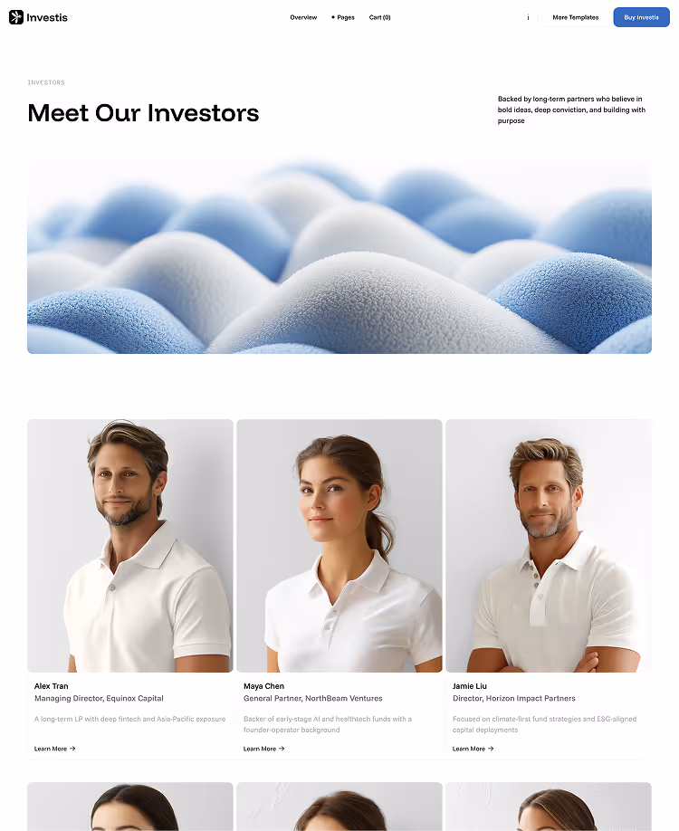 Overview Investors
