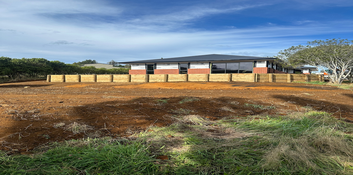 Project Details Image