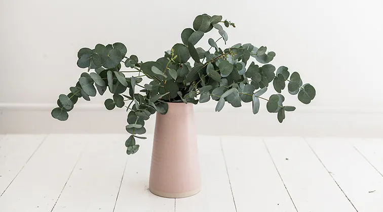 Spring Decor Ideas