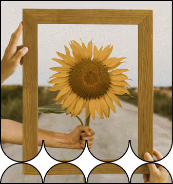 Des mains tenant un cadre en bois autour d'un tournesol, avec une route et un paysage en arrière-plan.
