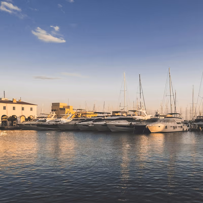 Row of white yachts docked at a marina under a clear blue sky during sunset.