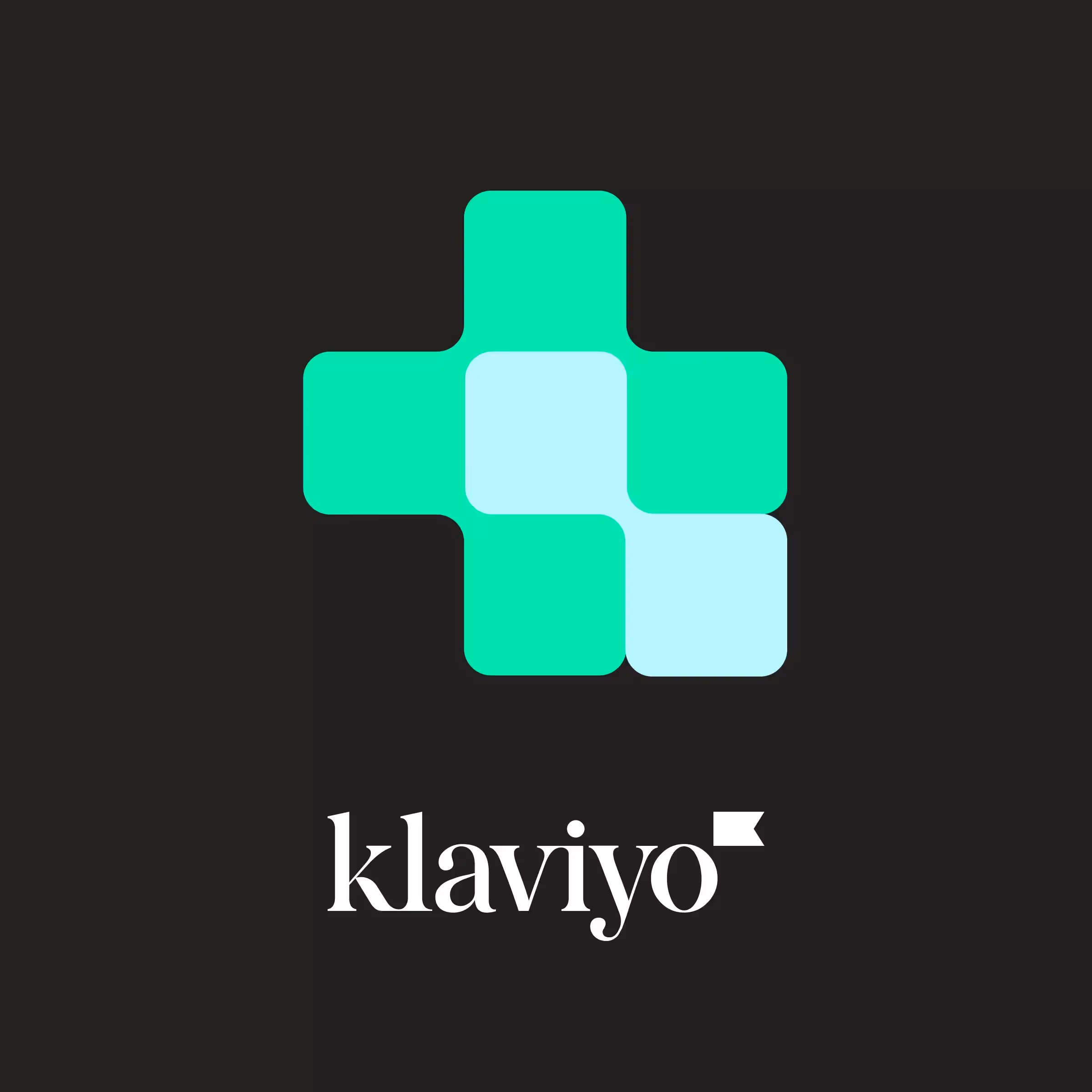 Supercharge your customer experience with Klaviyo and everstox.