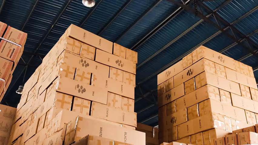 What is 3PL: definition and differences in logistics