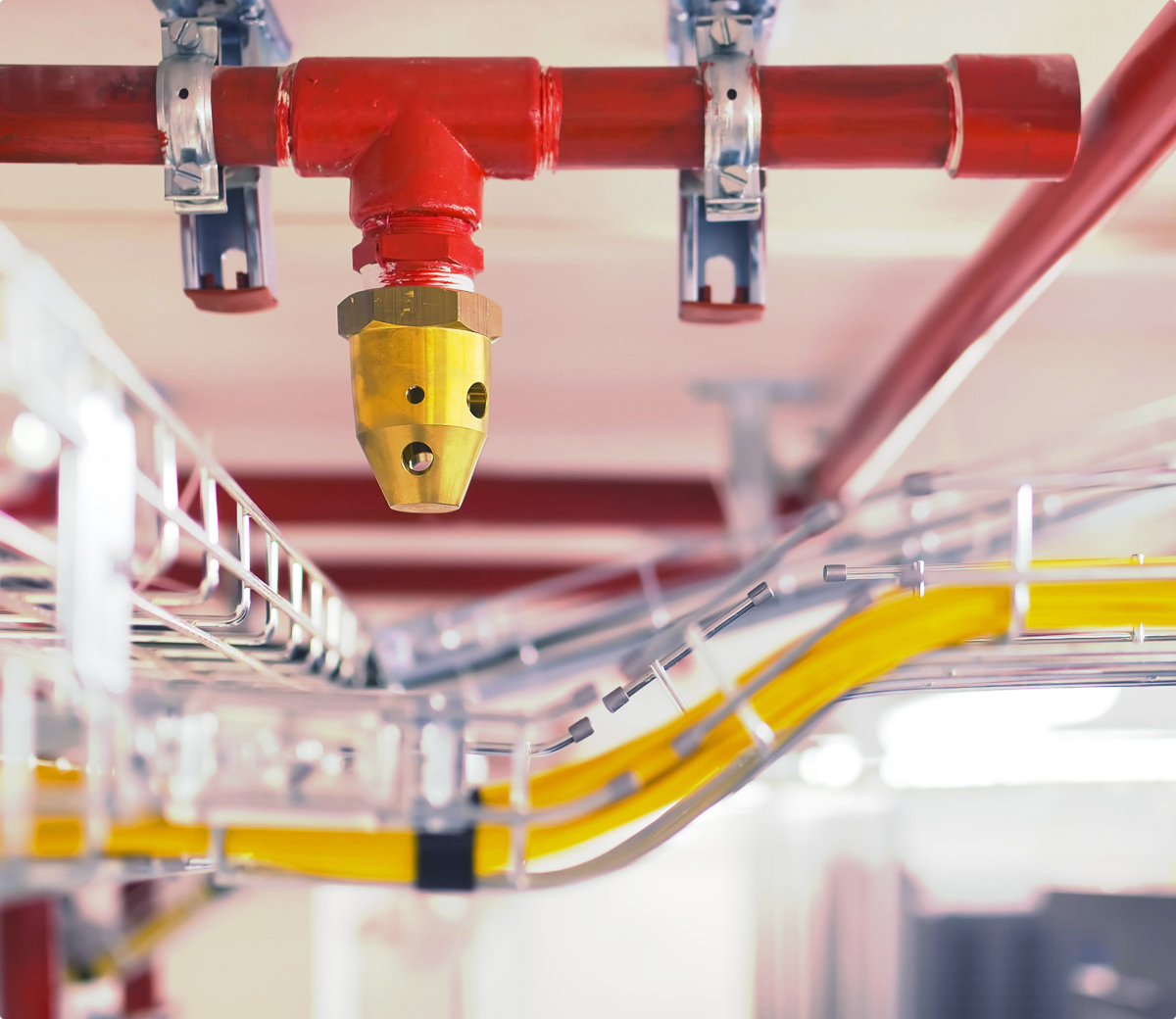 Close-up of a red fire sprinkler pipe with a brass sprinkler head attached to ceiling pipes.