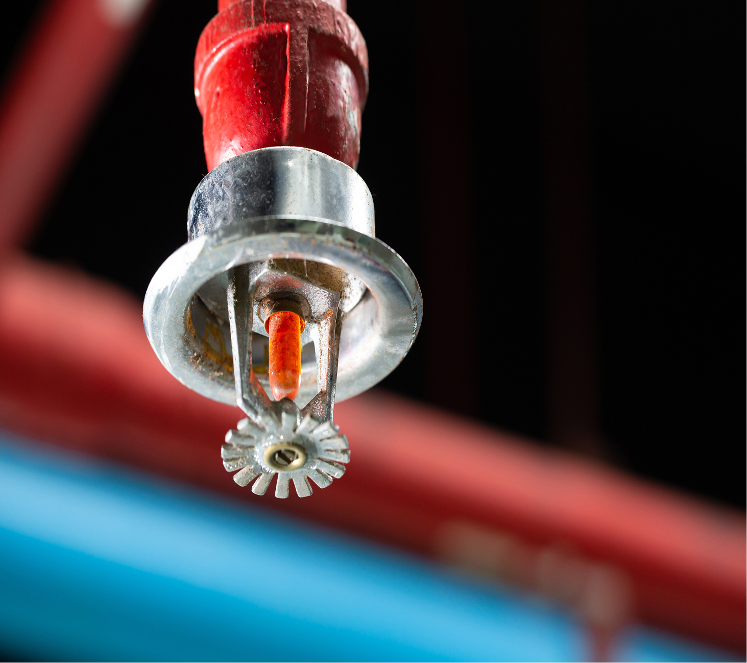 Close-up of a red fire sprinkler head mounted on a ceiling pipe.