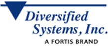 Logo of Diversified Systems, Inc. with a blue triangle and blue text.