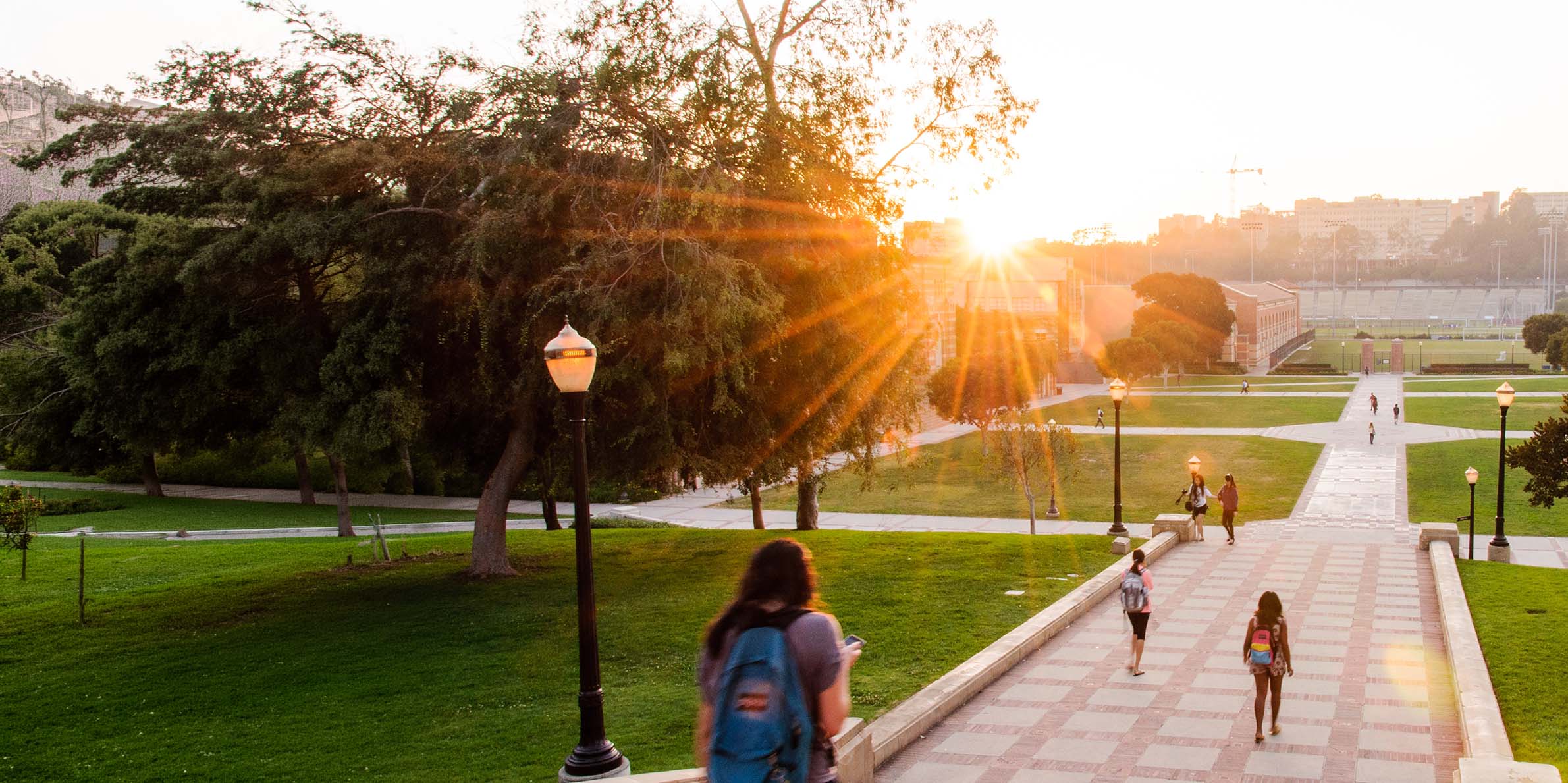 People walking on a campus path lined with lamps and trees during a sunset.