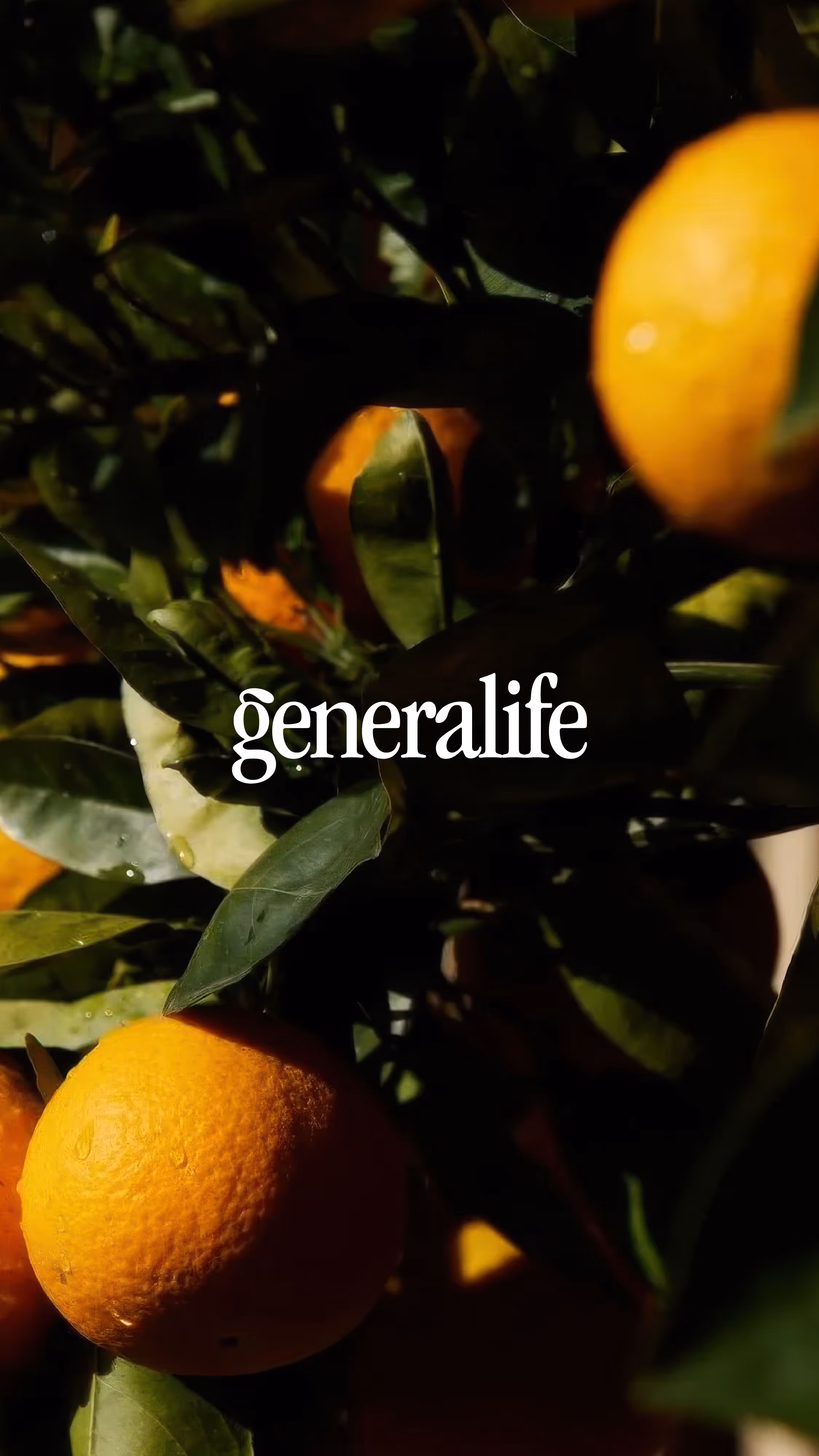 Generalife_Slide_01_(Mobile)