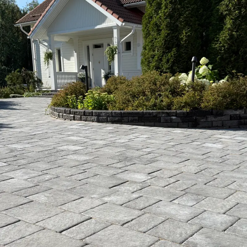 musta kuningaskivi