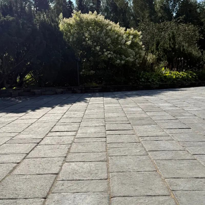 musta kuningaskivi pihapiirissä