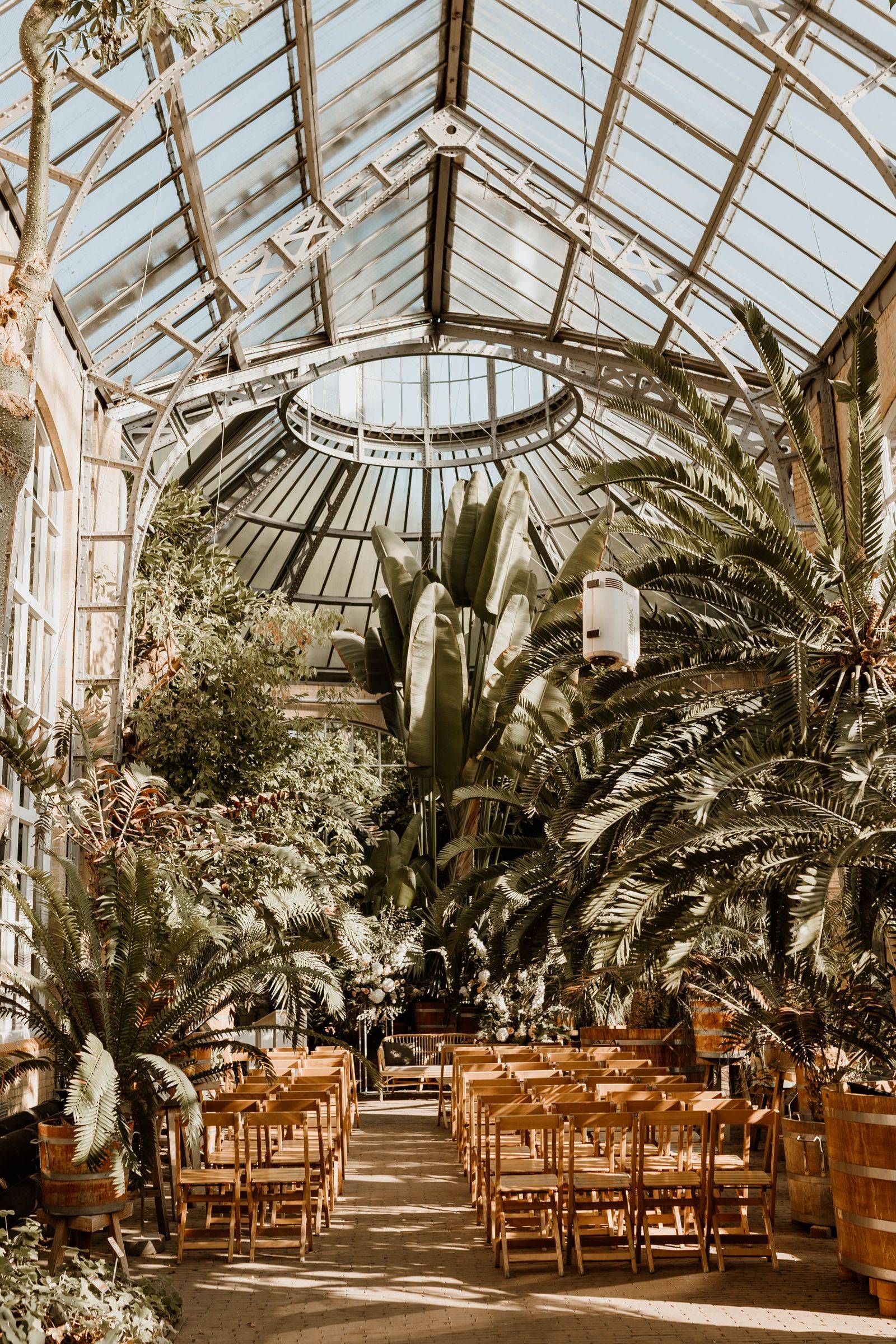 Ceremony set-up in the palm greenhouse of the Hortus Botanicus Amsterdam