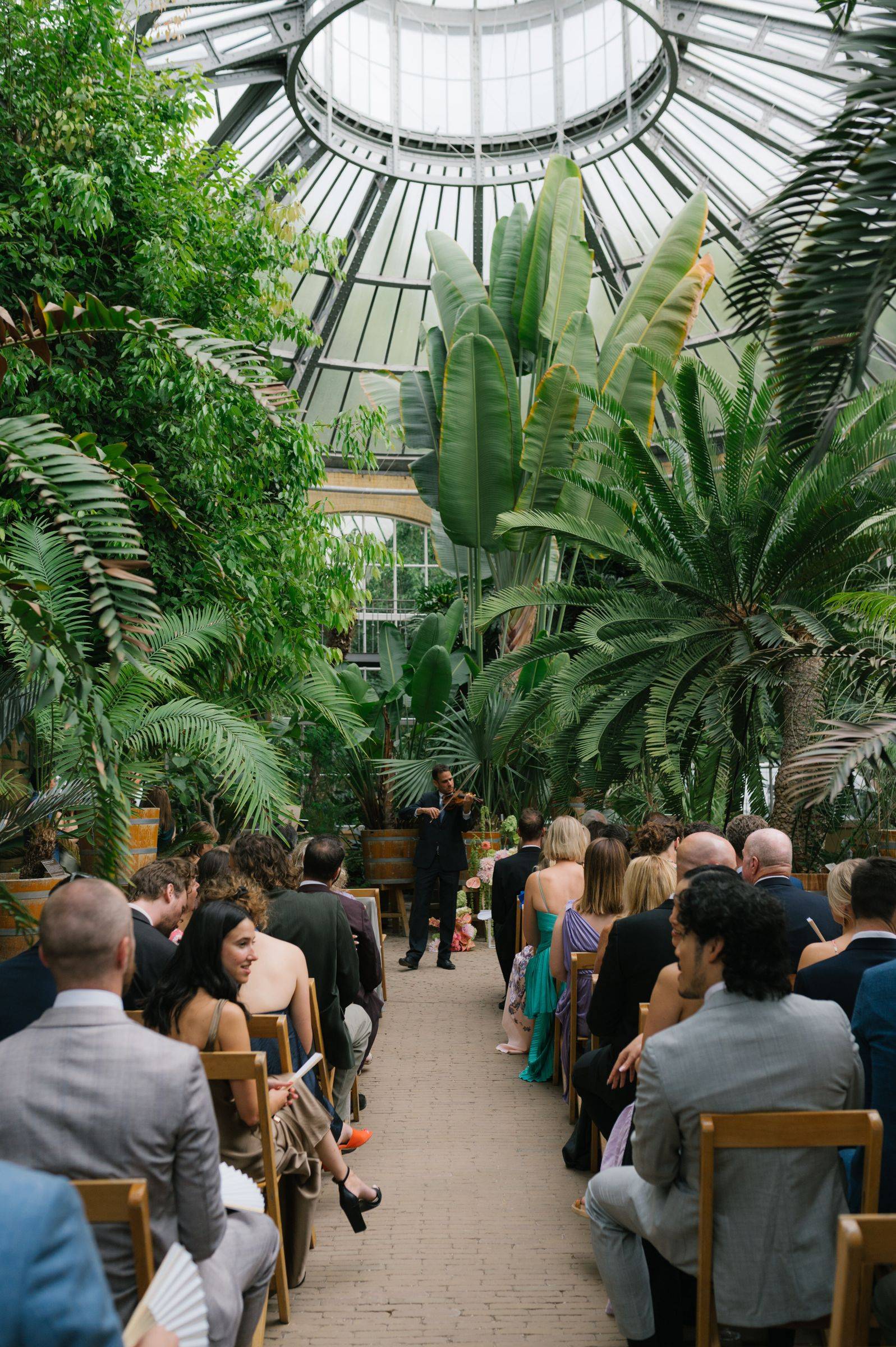 Wedding ceremony with a violinist in the palm greenhouse of the Hortus Botanicus